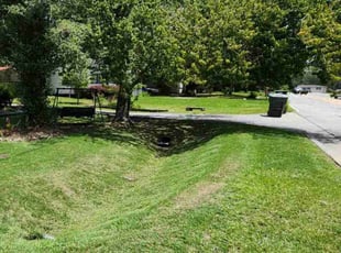 Philip M.'s Lawn Service service result