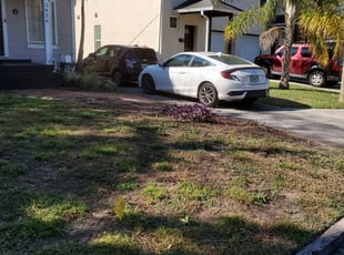 Landscaping by Christopher Roberts for Jonathan C. in Orlando, FL