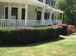 Bush Trimming by Hugo lopez for Keith G. in Marietta, GA
