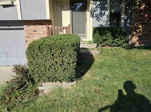 Bush Trimming by Cameron Lewis for Darby C. in Kansas City, MO