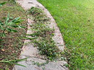 Cleanups by Queanesia Nelloms for Chris M. in Tallahassee, FL