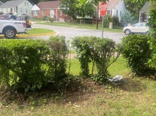 Bush Trimming by Dennis Joyner for Tanya L. in Hyattsville, MD