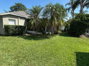 Bush Trimming by Feliciano Perez for Melvin S. in Zephyrhills, FL