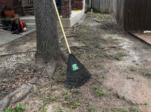 Leaf Removal by Fredrick Miller for Amy D. in San Antonio, TX