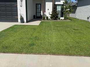 Layla P.'s Lawn Service service result