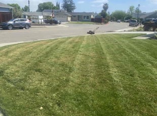 Sherry O.'s Lawn Care service result