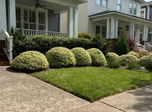 Jeff P.'s Lawn Service service result
