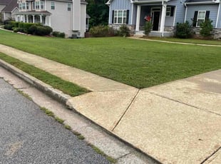 Wayne J.'s Lawn Maintenance service result