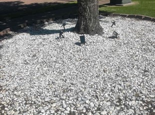 Weeding by James Franks for Ken J. in Collierville, TN