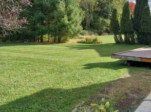 Donna W.'s Lawn Care service result