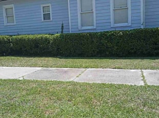 Bush Trimming by Willie Collier for Rob K. in Jacksonville, FL