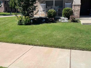 Bush Trimming by Samuel Fogg for Karen L. in Denton, TX