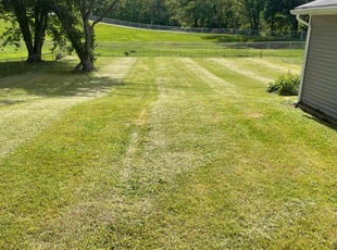 Lisa M.'s Lawn Maintenance service result