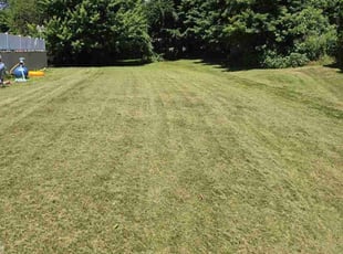 Frank D.'s Lawn Maintenance service result