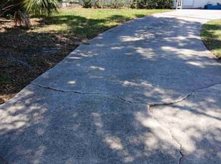 Bush Trimming by Robert Doolan for Laura J. in Brandon, FL