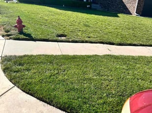 Gladialys R.'s Yard Cutting service result