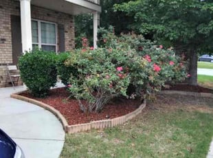 Bush Trimming by Jeffrey Curtis for William P. in Union City, GA