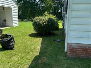 Bush Trimming by Sameen Wright for Ashley S. in Reidsville, NC