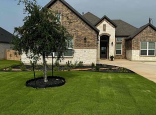 Dartanya D.'s Lawn Mowing service result