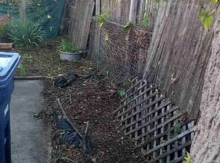 Cleanups by Julian Aguirre for Ron S. in Maywood, IL