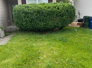 Bush Trimming by Mike Jewell for David W. in Canal Winchester, OH