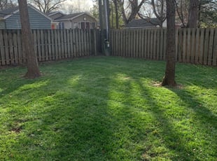 Marsha L.'s Yard Cutting service result