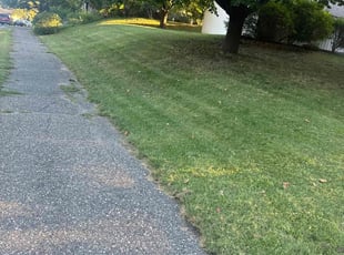 Delores (Del) Z.'s Lawn Mowing Service service result