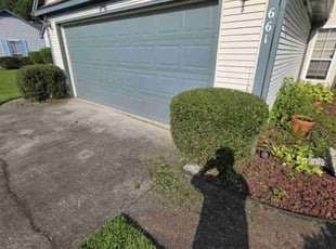 Bush Trimming by Devin Kemp for Kenneth D. in Murrells Inlet, SC