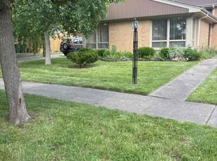 Freddie J.'s Grass Cutting service result