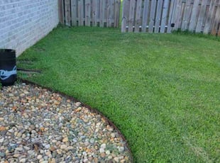 Dana O.'s Lawn Care service result