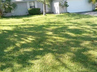 Neil L.'s Lawn Mowing service result