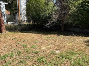 Bush Trimming by Jose Almanza for Anne S. in Englewood, CO