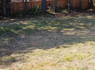 Cleanups by Brandon Hill for Phuong P. in Portland, OR