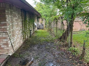 Bush Trimming by Robert Smith for David E. in Houston, TX