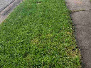 Nick W.'s Lawn Service service result