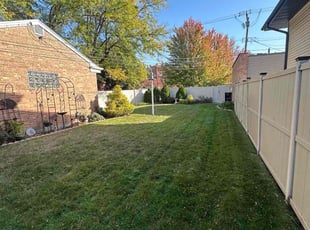 Steve V.'s Yard Cutting service result