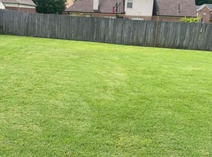 Shawn P.'s Lawn Maintenance service result