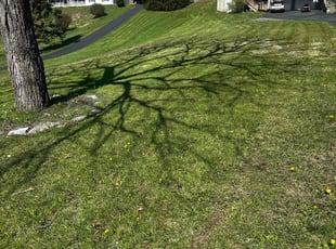Tuesday L.'s Lawn Maintenance service result