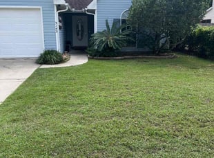 Hailee C.'s Lawn Mowing Service service result