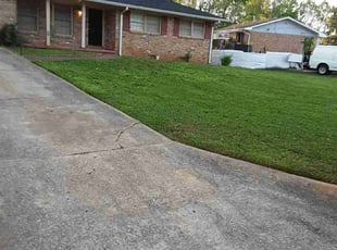 Stephanie C.'s Lawn Mowing service result