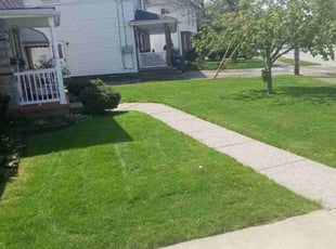 Steve M.'s Lawn Mowing Service service result