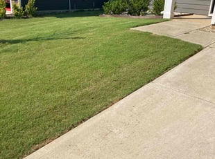 Miles K.'s Lawn Care service result