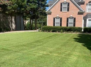 Paula N.'s Lawn Maintenance service result
