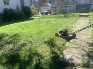 Terri E.'s Lawn Mowing service result
