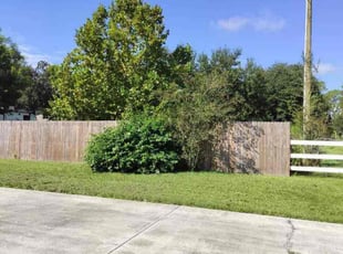 Tabitha S.'s Lawn Mowing service result