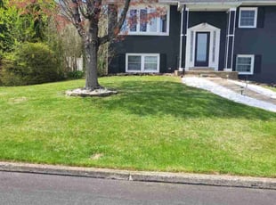 Vickie B.'s Lawn Service service result