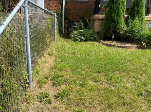 Bush Trimming by Ryan Curtis for Andrea G. in Baltimore, MD