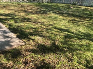 Cleanups by Chaes Pate for Rob B. in San Antonio, TX