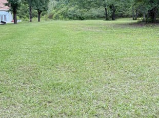 Cleanups by B fleming for Arleen H. in Loganville, GA