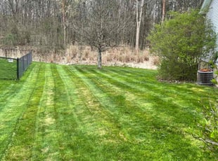 Lisa B.'s Lawn Service service result